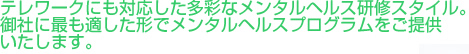 テレワークにも対応した多彩なメンタルヘルス研修スタイル。御社に最も適した形でメンタルヘルスプログラムをご提供いたします。