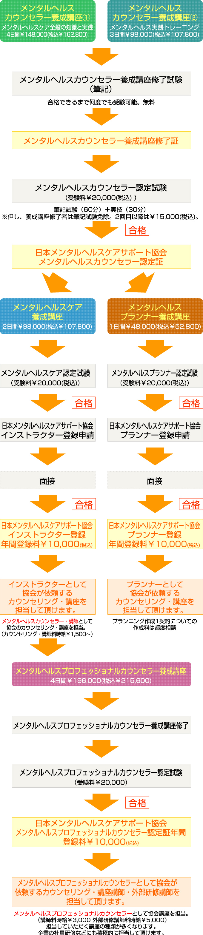 資格取得の流れ