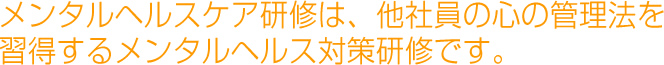 メンタルヘルスケア研修は、あなたの「どうしたら？」が全て解決する具体的なメンタルへルス対応研修です。