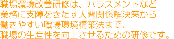 職場環境改善研修は、ハラスメントなど業務に支障をきたす人間関係解決策から働きやすい職場環境構築法まで、職場の生産性を向上させるための研修です。